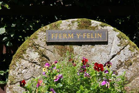 Гостевой дом Fferm Y Felin 4*